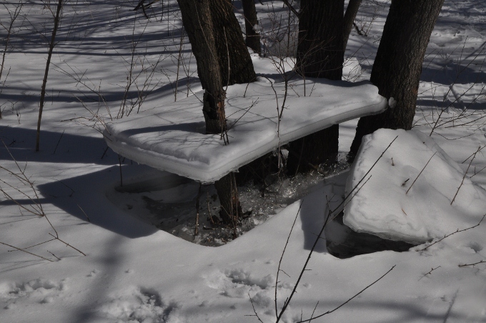 River Bend Nature Center, Fairbault